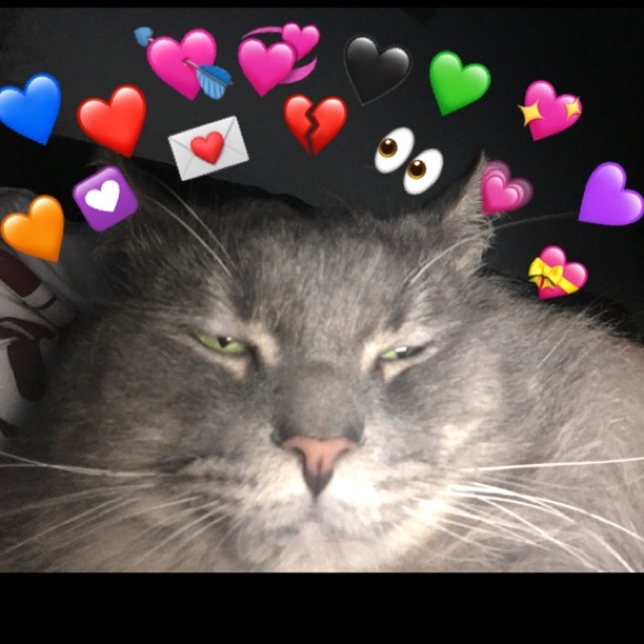 Meet your Posher, Wendy - Picture 8 of 8